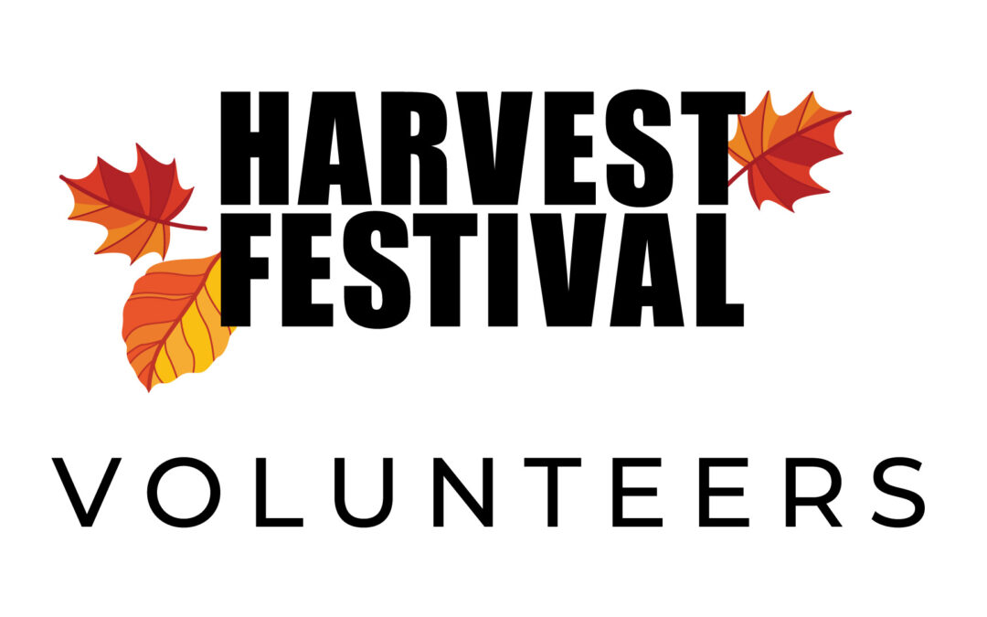 Harvest Festival Volunteers Needed